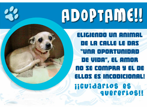 Descripción de la imagen 2