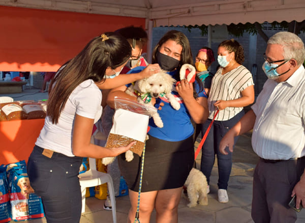 Descripción de la imagen 2