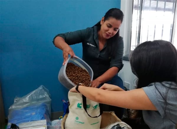 Descripción de la imagen 1