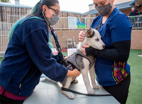 Descripción de la imagen 1