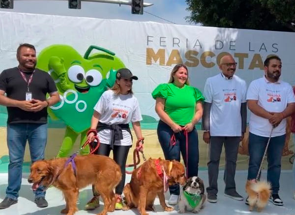 Descripción de la imagen 1