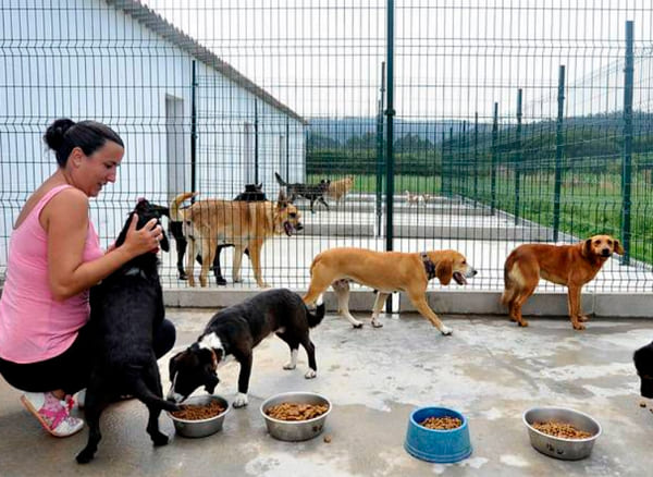 Descripción de la imagen 2