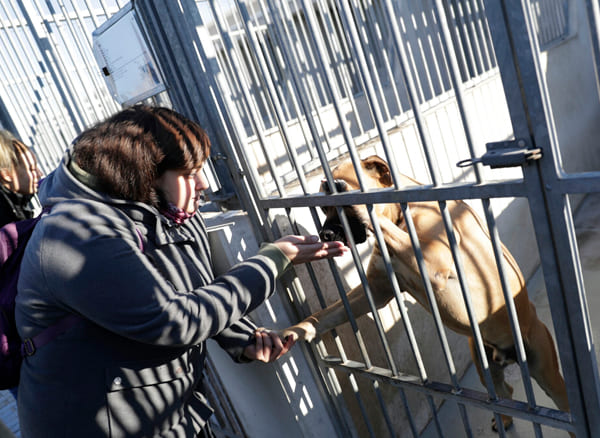 Día de Puertas Abiertas