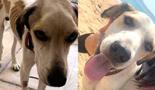 Antes y Después de Bella