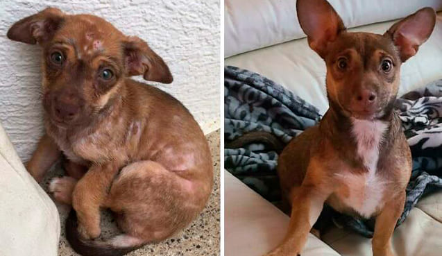 Antes y Después de Max