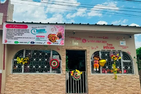 encabezado ubicacion